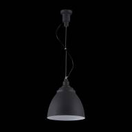 Подвесной светильник Maytoni P534PL-01B - Подвесной светильник Maytoni P534PL-01B