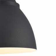 Подвесной светильник Maytoni P534PL-01B - Подвесной светильник Maytoni P534PL-01B