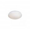 105528 Светильник настенно-потолочный Белый/Белый LED 1*9W