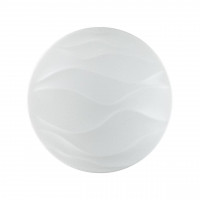 2090/EL PALE SN 067 Светильник пластик/белый LED 72Вт 3000-6000K D540 IP43 пульт ДУ ERICA