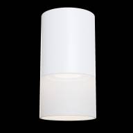 Потолочный светильник Technical C007CW-01W - Потолочный светильник Technical C007CW-01W