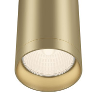 Потолочный светильник Technical C010CL-01MG