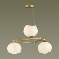 4873/3 MODERN ODL_EX22 83 золотой/белый/стекло Люстра E14 3*40W WATERLILY - 4873/3 MODERN ODL_EX22 83 золотой/белый/стекло Люстра E14 3*40W WATERLILY