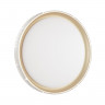3054/EL PALE SN 034 Светильник пластик/белый/золотистый LED 72Вт 3000-6000К D490 IP43 пульт ДУ SHINY