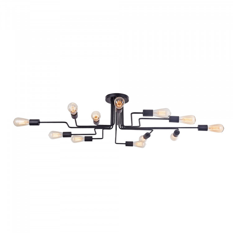 Потолочный светильник Maytoni T532CL-12B