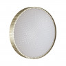 3004/DL SN 027 Светильник пластик LED 48Вт 3000-6500K D400 IP43 пульт ДУ/ LampSmart MOSTLI