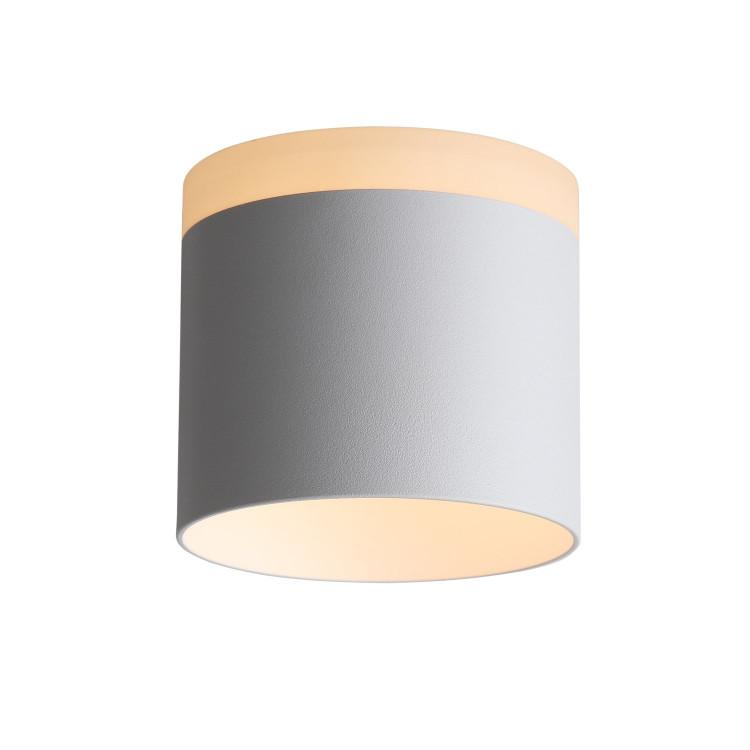 ST102.502.12 Светильник потолочный ST-Luce Белый/Белый LED 1*12W