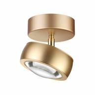 3874/10CL HIGHTECH ODL19 119 матов.зол Потолочн.накладн.поворотн.св-ник LED 10W 700Лм 3000К OTTICO - 3874/10CL HIGHTECH ODL19 119 матов.зол Потолочн.накладн.поворотн.св-ник LED 10W 700Лм 3000К OTTICO