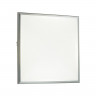 4624/48CL L-VISION ODL19 518 серебристый/белый Потолочный светильник LED 48W BERNAR
