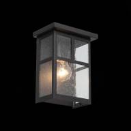 SL079.401.01 Светильник уличный настенный ST-Luce Темный кофе/Прозрачное кракелированное стекло E27 - SL079.401.01 Светильник уличный настенный ST-Luce Темный кофе/Прозрачное кракелированное стекло E27